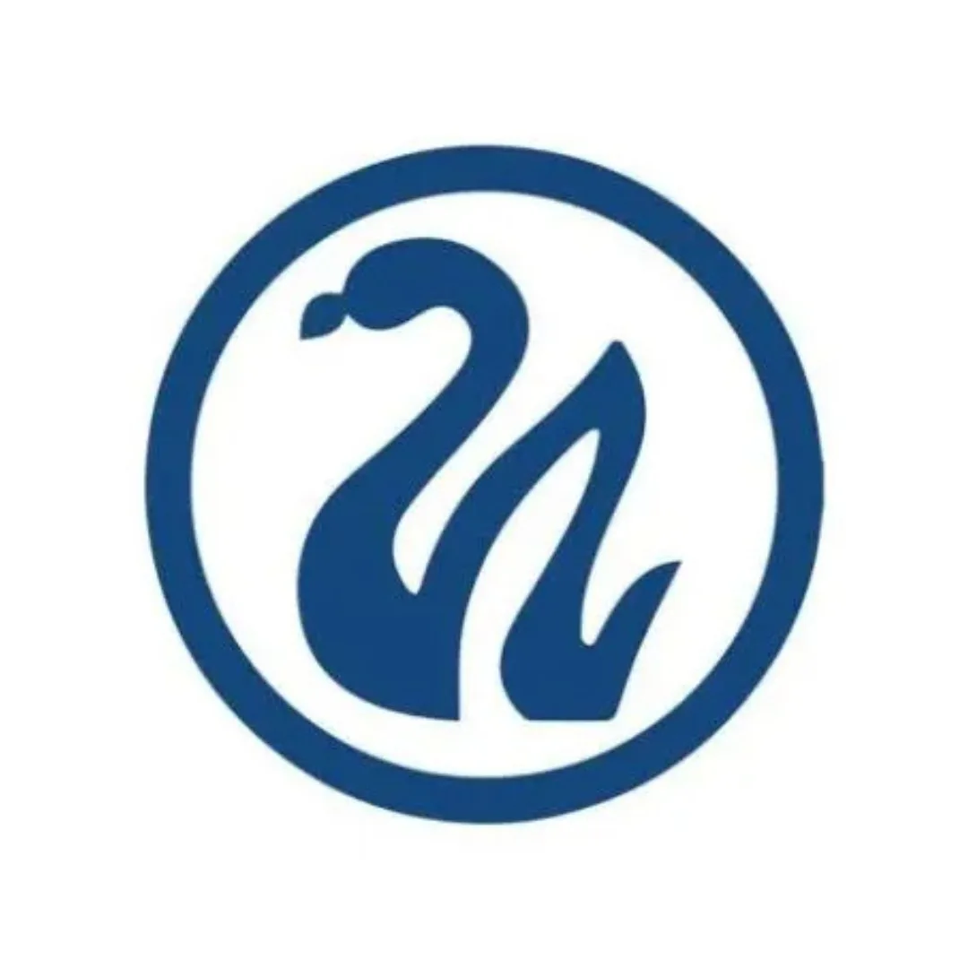 Swan